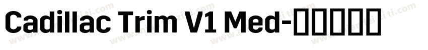 Cadillac Trim V1 Med字体转换